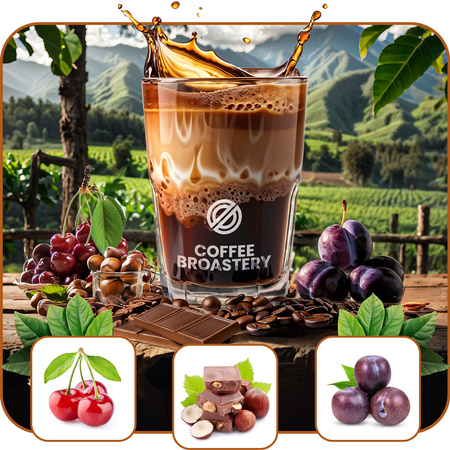 Coffee Broastery - Kawa ziarnista Costa Rica San Rafael Speciality 1 kg