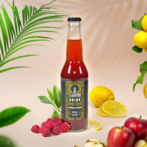 Fruit Drink Guarani – Napój owocowy z Yerba Mate – Sabor Citrus 330 ml